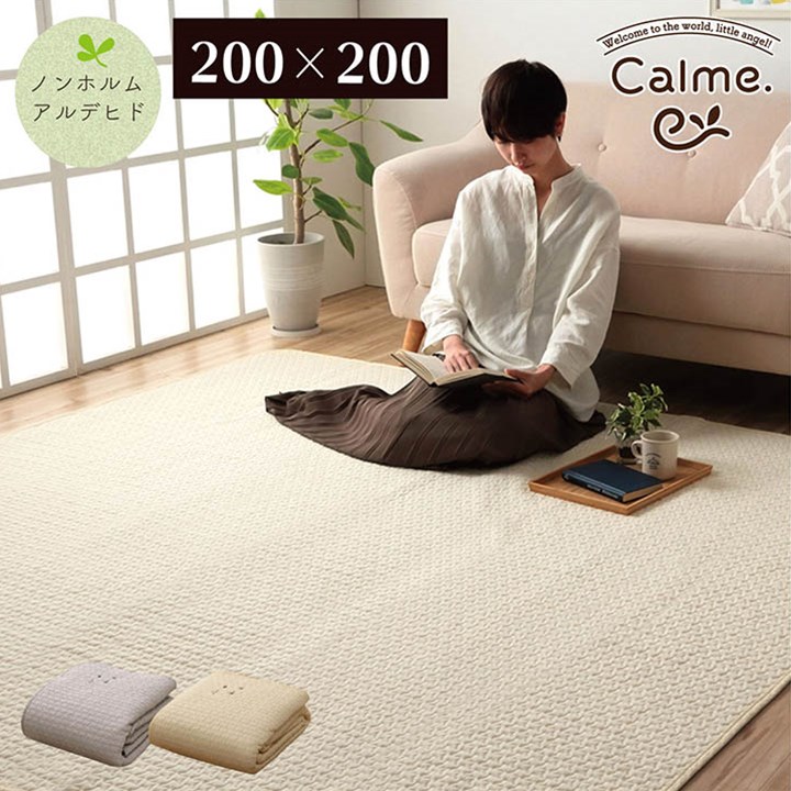 【マラソンでP最大49倍】寝具 マルチ カバー 綿 100％ 洗える ギフト イブル アイボリー 約200×200cm【アイボリー】【代引不可】