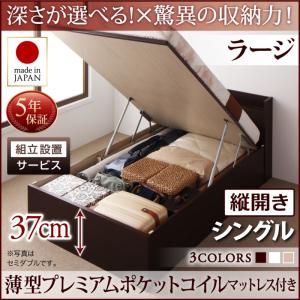 【ポイント20倍】組立設置付 国産跳ね上げ収納ベッド Clory クローリー 薄型プレミアムポケットコイルマットレス付き 縦開き シングル 深さラージ【代引不可】｜インテリアの壱番館