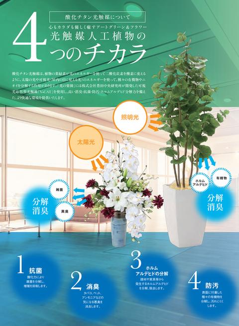 日本製 消臭 フィットニア ホルムアルデヒド対策 M 代引不可 観葉植物 フェイクグリーン 抗菌 M 観葉植物 フェイクグリーン リビング フィットニア インテリアの壱番館ダイニング トイレ 洗面台に 国産の造花 インテリアグリーン 光触媒 光の楽園 日本製 消臭 フィットニア ホルムアルデヒド対策 M 代引不可 観葉植物 フェイクグリーン 抗菌 M 観葉植物 フェイクグリーン リビング フィットニア インテリアの壱番館ダイニング トイレ 洗面台に 国産の造花 インテリアグリーン 光触媒 光の楽園