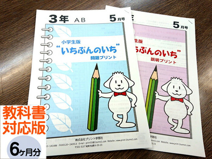 スーパーセール タイムセール 時間 楽天市場】【通信教材】家庭学習教材いちぶんのいち教科書対応版 語学・辞書・学習参考書