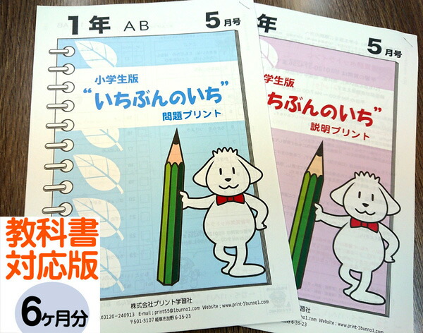 家庭学習専用指導書 小4-6 算数　国語 家庭学習用】指導書 小4・5・6算数
