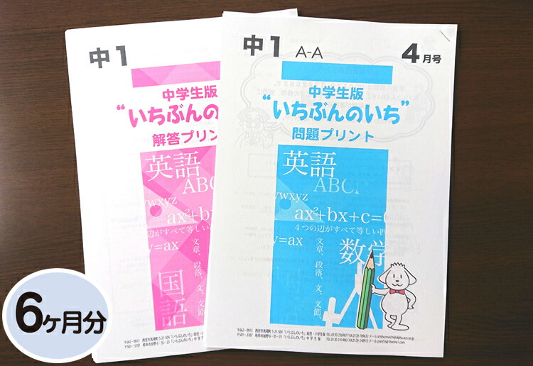 しょうがく社　家庭用教材　毎回の復習　小1 　授業配布　1年分 しょうがく社 家庭用教材 毎回の復習 小1 授業配布 1年分 奨学