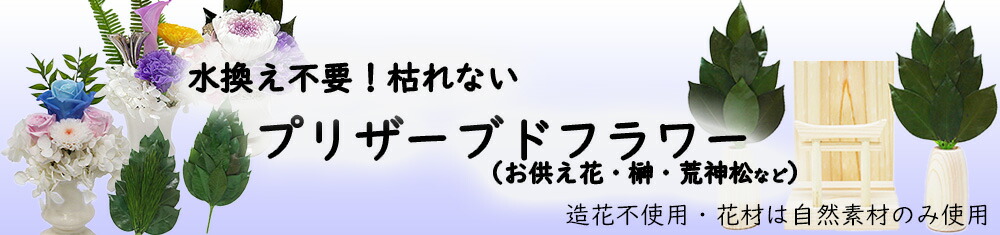 楽天市場】【個人様購入可能】○スクイズコーポレーション スクイズ