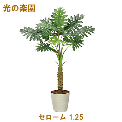 【ポイント3倍 4/4 20時から】 【個人様購入可能】●光の楽園 (2341A170-53) セローム 1.25 送料無料 95103