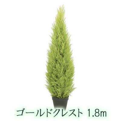 【人間様買いもとめる能力のある】● ゴールドクレスト 1.8m (let-2049) 造花 人工 観葉草木 フェイクグリーン 貨物輸送無料 94295