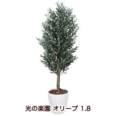 【ポイント3倍 4/4 20時から】 【個人様購入可能】●光の楽園 (149K850-44) オリーブ 1.8 送料無料 94130