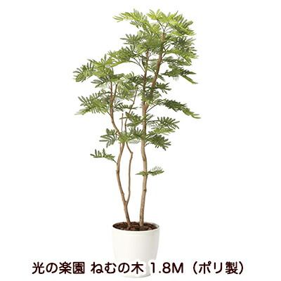 【尖んがり3倍 6/4 20時から】【人間様買いもとめる能力のある】●光のエデンの園 (2106A460-28) ねむの木 1.8Ｍ（ポリ製） 貨物輸送無料 94161