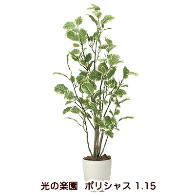 【ポイント3倍 4/4 20時から】 【個人様購入可能】●光の楽園 (2028A180-53) ポリシャス 1.15 送料無料 94182