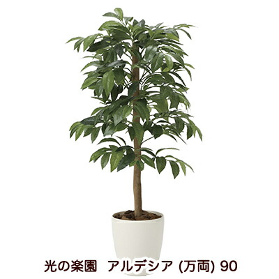【ポイント3倍 7/19 20時から】【個人様購入可能】●光の楽園 (2032A140-54) アルデシア (万両) 90 送料無料 94184|いちここ 企業専門店