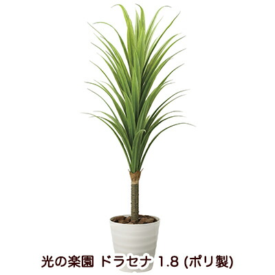 【ポイント3倍 7/19 20時から】【個人様購入可能】●光の楽園 (2019A350-39) ドラセナ 1.8 (ポリ製) 送料無料 94242｜いちここ 企業専門店
