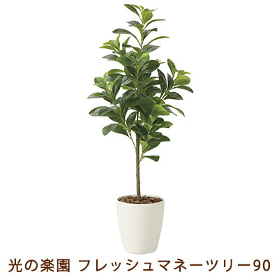 【ポイント3倍 7/19 20時から】【個人様購入可能】●光の楽園 (2224A120-56) フレッシュ マネーツリー 90 送料無料 99481|いちここ 企業専門店