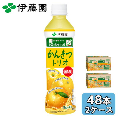 【ポイント3倍 4/4 20時から】 【個人様購入可能】伊藤園 ニッポンエール 国産 かんきつ トリオ 400g PET 48本 (24本×2ケース) 八朔 河内晩柑 温州みかん 送料無料 43907