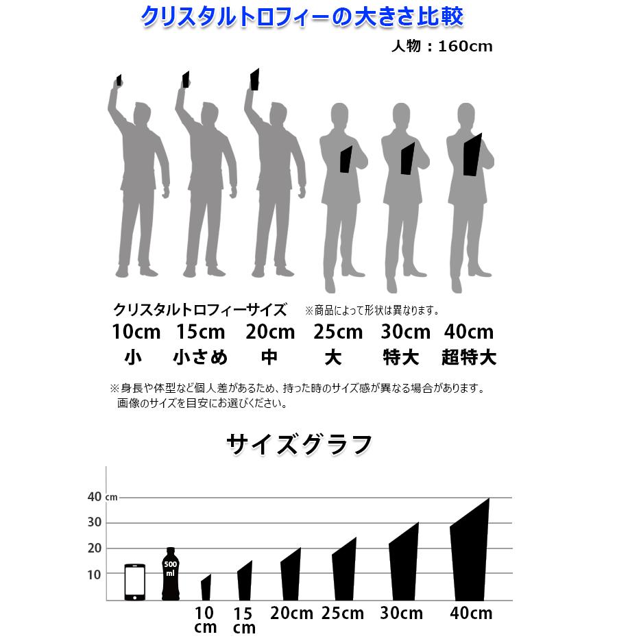 クリスタルトロフィー3d 16cm 5サイズ優勝トロフィー文字無料化粧箱入で社内表彰 企業表彰 記念品 贈り物に最適 賞品 景品クリスタルトロフィー16cm 16cm 5サイズ名入れ天然石