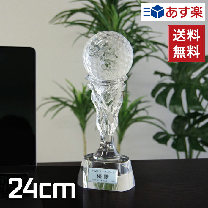 クリスタルトロフィー 5種類 24cm ガラス製 名入れ 化粧箱付き XC-P-0146 [P23]
