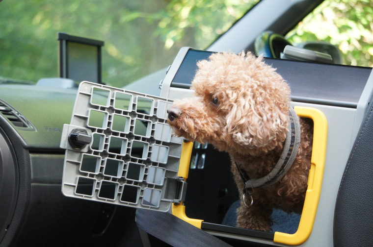 【送料無料】スウェーデン・MIM SAFEの安全性が高いドッグカークレイト【CARE2・Lサイズ】|1stDogCafe