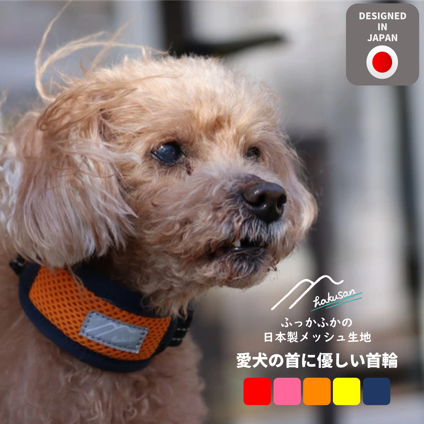 楽天市場】[Hakusan]体全体をやさしく包むこむ愛犬に優しいハーネス 