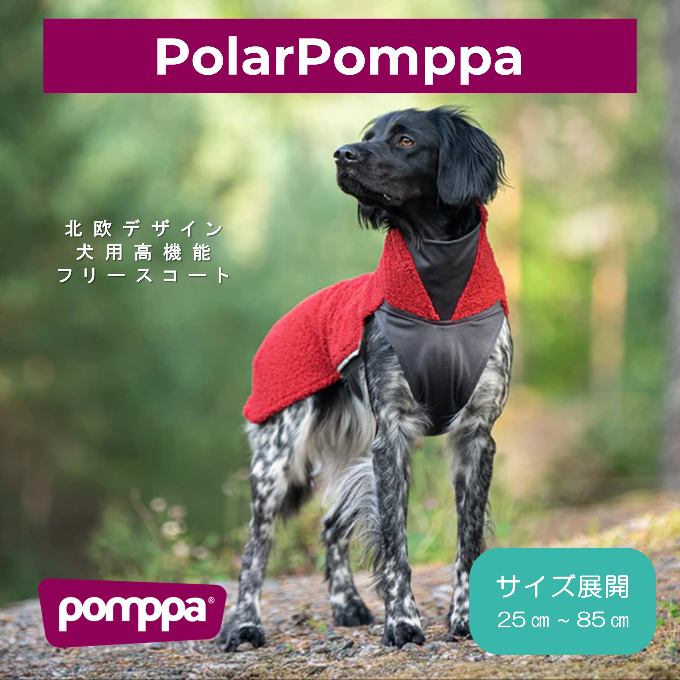 楽天市場】フィンランドのドッグブランド【Pomppa】【ポムッパ