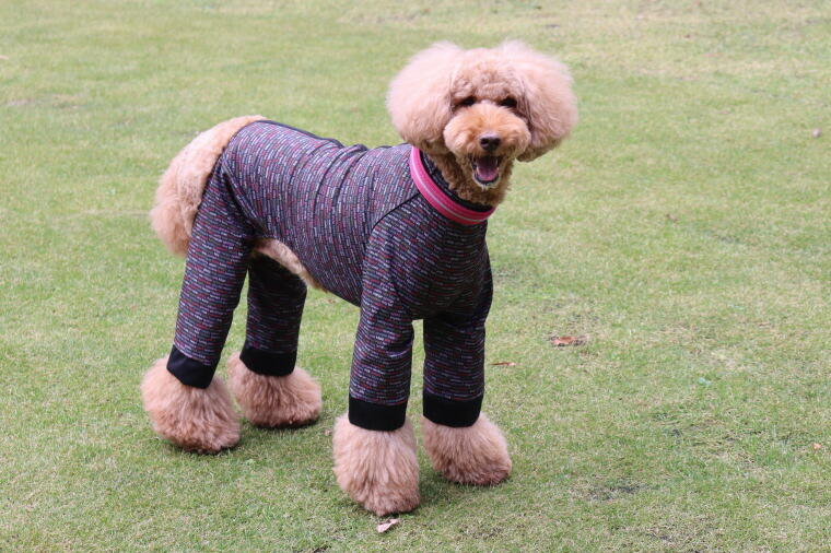 Ratia Finland 動きやすくて着せやすいオーバーオール小型犬用サイズ 大量入荷 動きやすくて着せやすいオーバーオール小型犬用サイズ