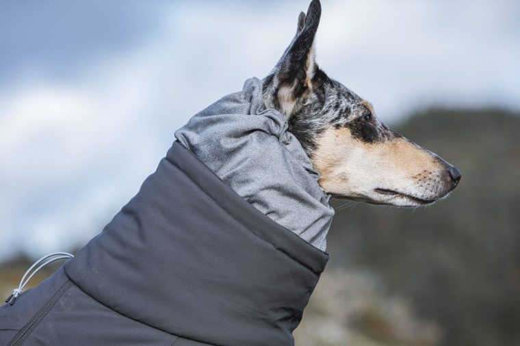 楽天市場 フィンランドのドッグブランド Hurtta フルッタ フルッタ史上最強レベルの防寒オーバーオール エクストリームオーバーオール 中 大型犬 用 １ｓｔｄｏｇｃａｆｅ