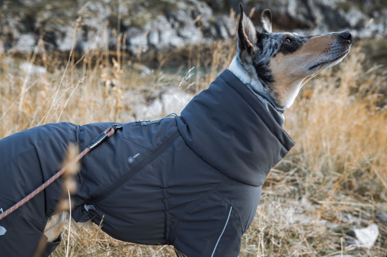 楽天市場 フィンランドのドッグブランド Hurtta フルッタ フルッタ史上最強レベルの防寒オーバーオール エクストリームオーバーオール 中型犬 用 １ｓｔｄｏｇｃａｆｅ