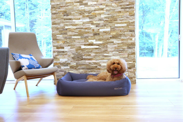 爆買い Miacara In ボックスドッグベッドmade Germany 犬用品