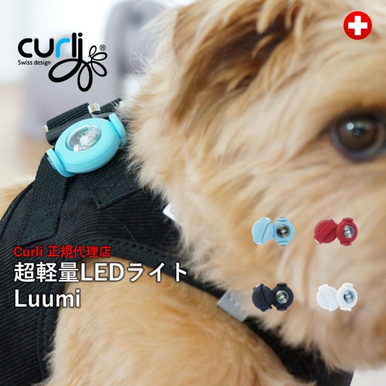 楽天市場】☆Putiel（プティール） LEDライト2 : Fiorello