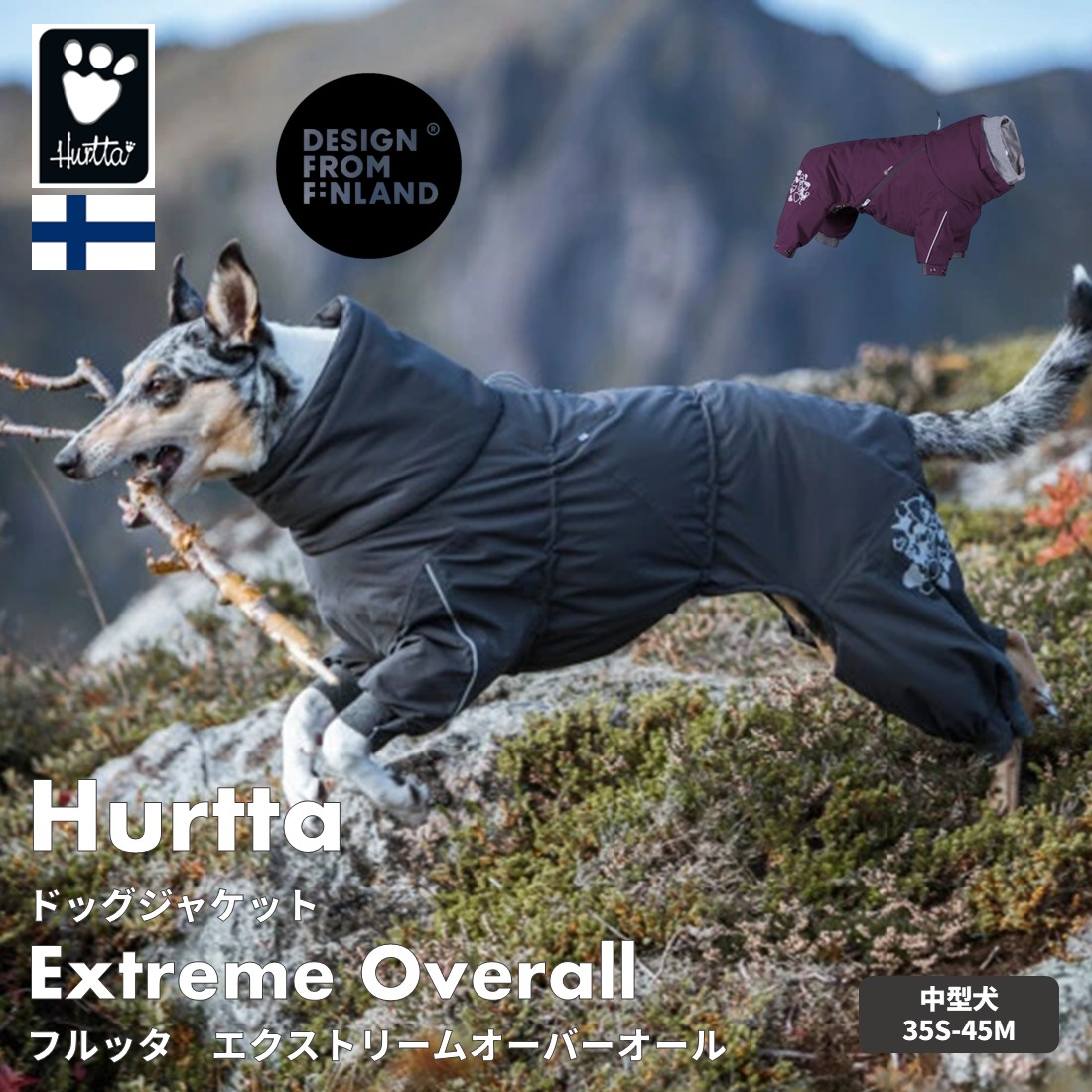 楽天市場】[Hakusan]オリジナルドッグジャケット【マウンテン