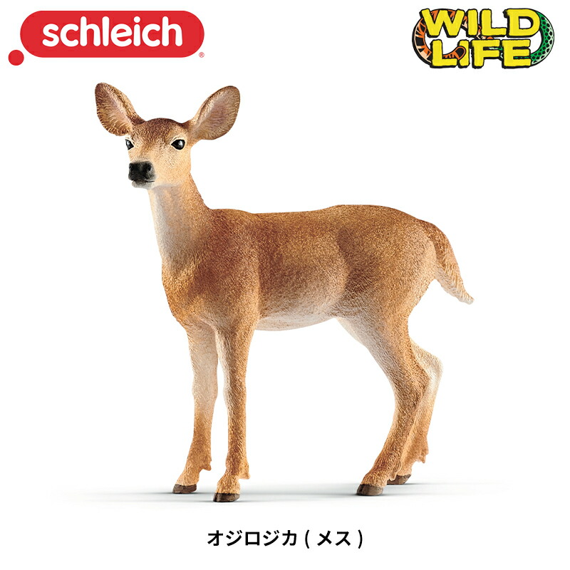 楽天市場】オジロジカ(オス) 14818 動物フィギュア ワイルド