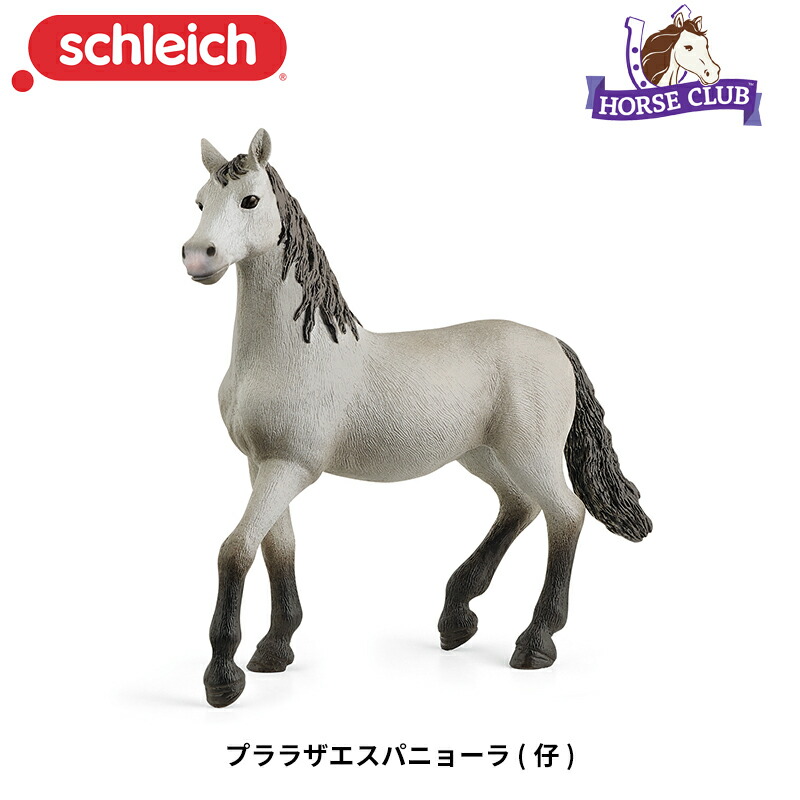 楽天市場】ポニー・アジリティー・トレーニング・アリーナ 42481