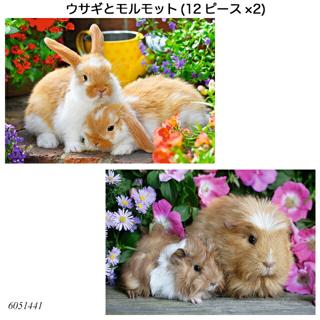 うさこページ（2点） Amazon | ウサギケージ ベージュ 3段 72*50*107cm うさぎ
