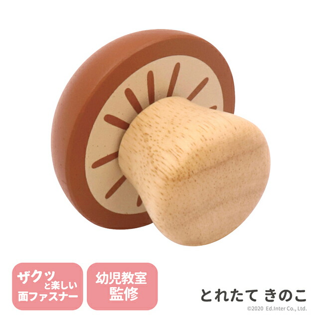 きのこ 予約販売：2026年1月～2月中 お届け予定】<単品販売・先行予約特価>未