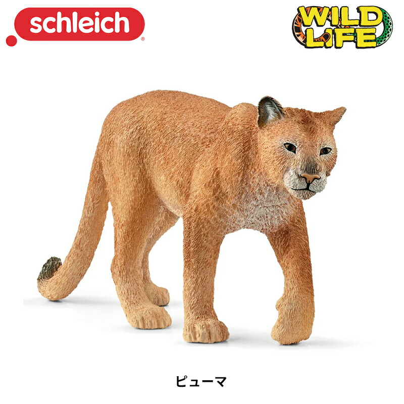 楽天市場】マナティー 14839 動物フィギュア ワイルドライフ