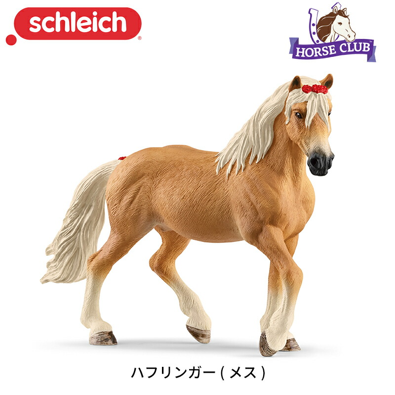 シュライヒ ホースクラブ ハフリンガー馬 (仔) フィギュア 13814 ggw725x 81mVkJzOe+L._UF894,1000_QL80_.jpg