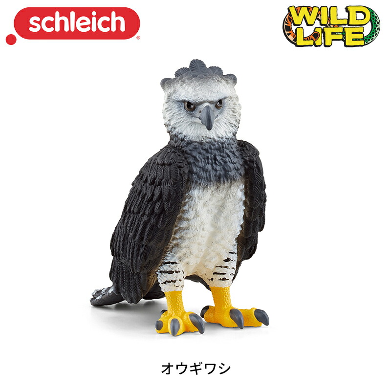 楽天市場】オウギワシ 14862 動物 フィギュア ワイルドライフ