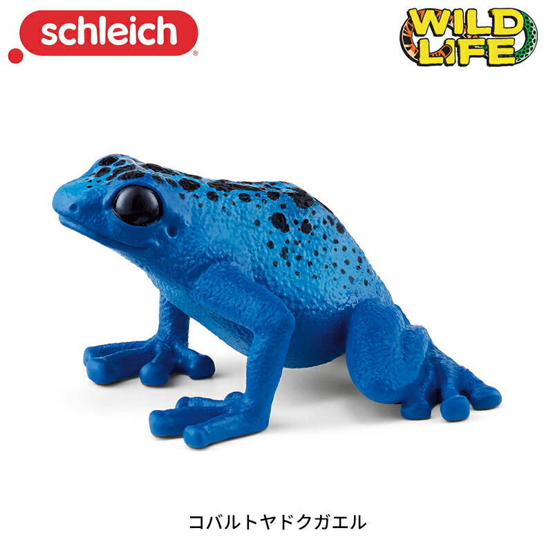 カエル Amazon.co.jp: スカイネット 立体パズル 4D VISION 動物解剖 No