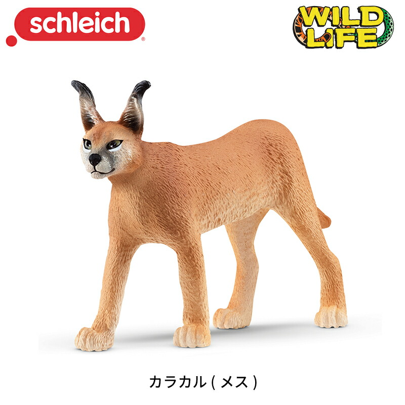 楽天市場】カラカル (メス) 14867 動物 フィギュア ワイルド