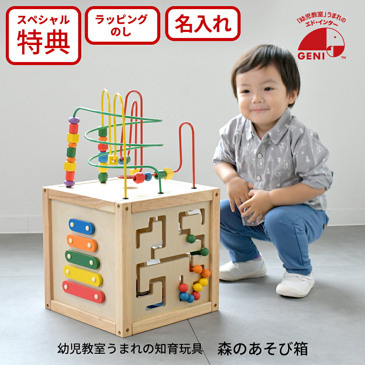 楽天市場】森のあそび箱 GENI（ジェニ） エドインター 806487 木製