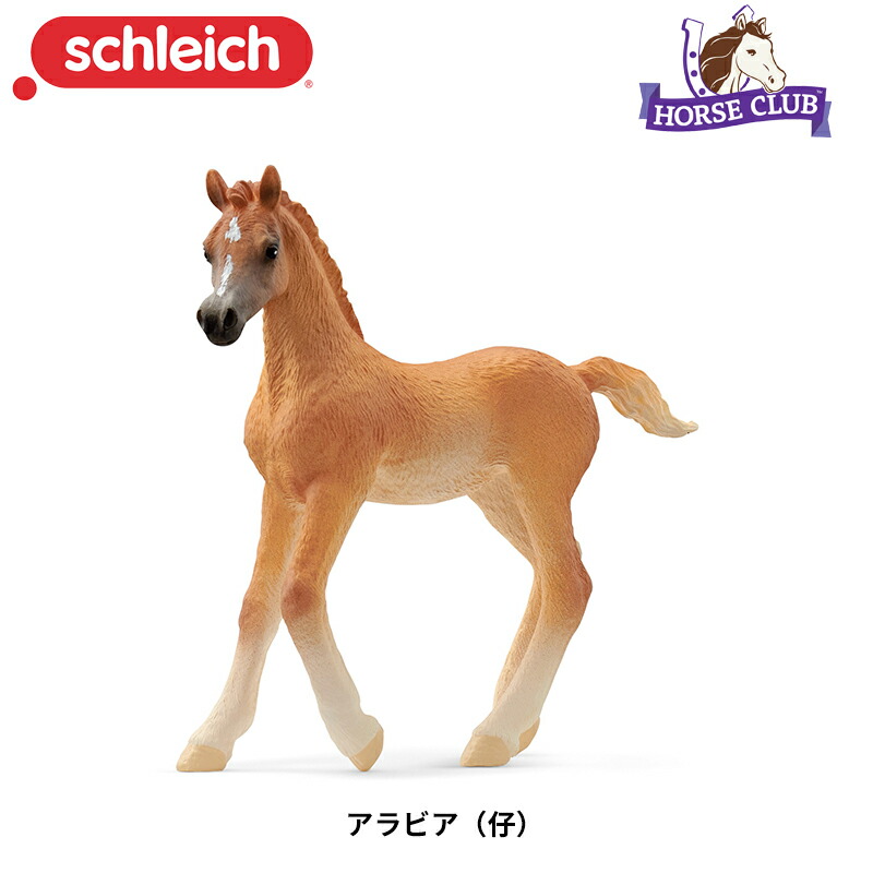 楽天市場】アラビア馬(仔) 13984 動物フィギュア Horse Club