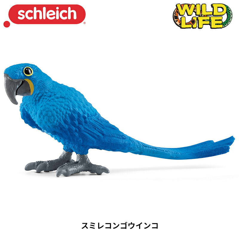 楽天市場】シュライヒ フィギュア コンゴウインコ 14737