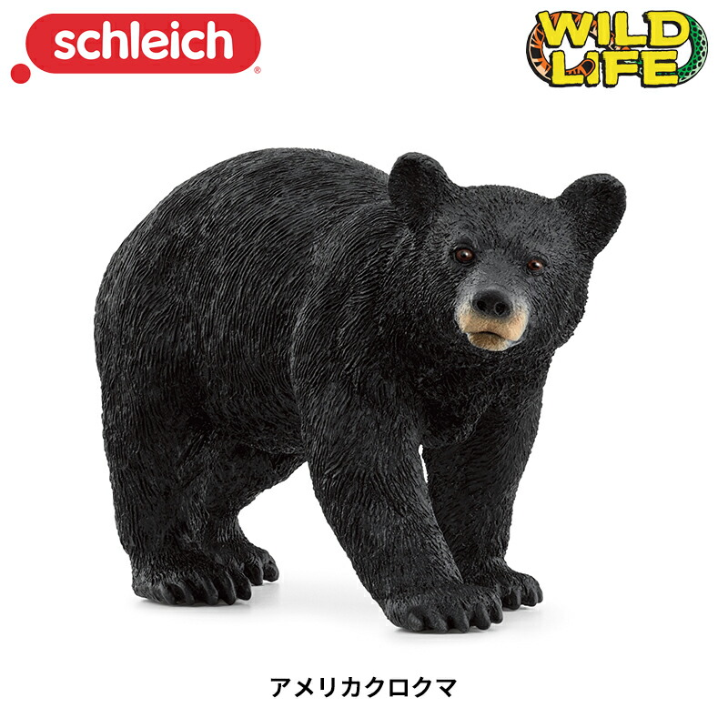 アメリカクロクマ 14869 動物 熊 クマ くま ベアー フィギュア ワイルドライフ アニマル シュライヒ Schleich画像