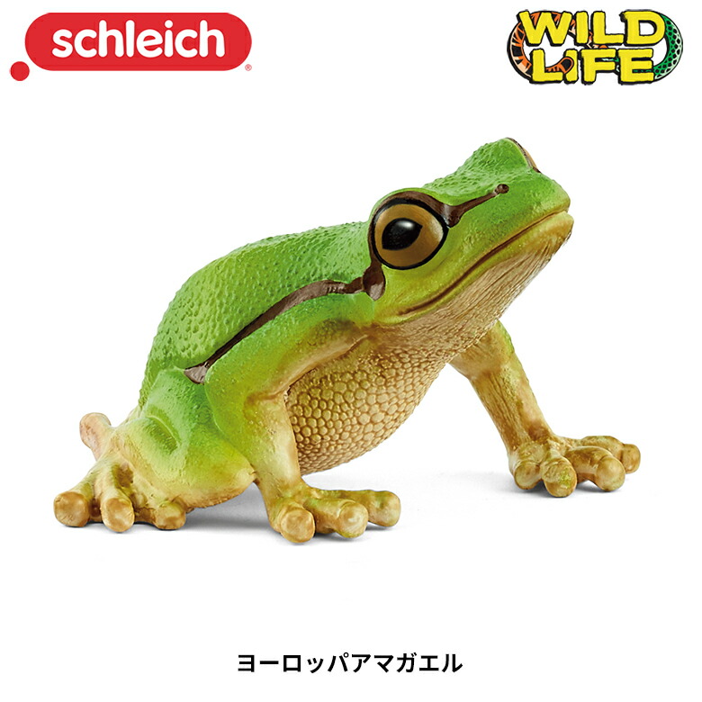 楽天市場】コバルトヤドクガエル 14864 動物 かえる カエル 蛙