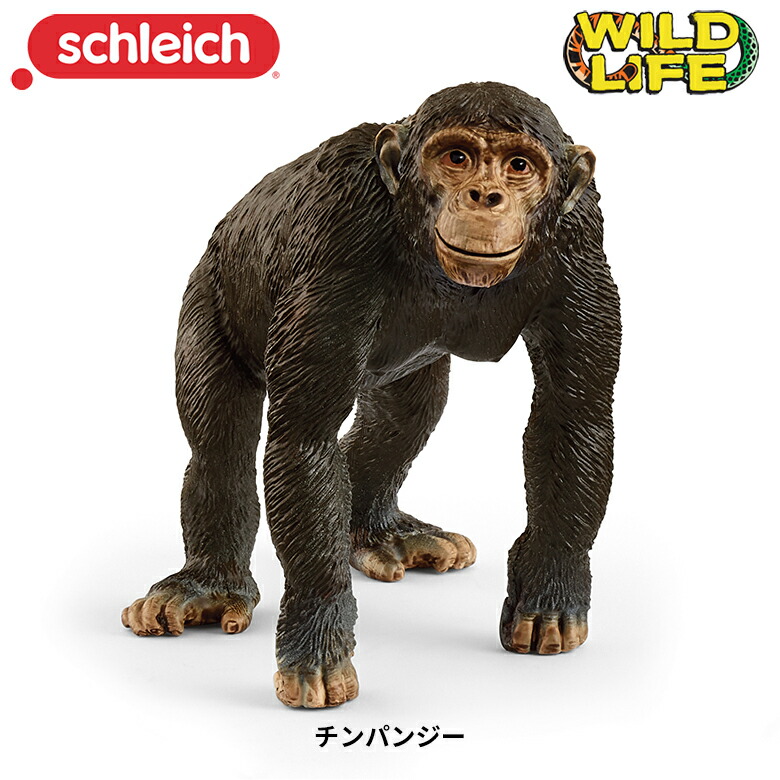 楽天市場】チンパンジー(仔) 14884 動物フィギュア Wild Life ワイルド