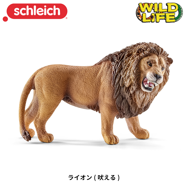シュライヒ ワイルドライフ トラ フィギュア 14729 qqffhab Amazon.co.jp: シュライヒ(Schleich) ワイルドライフ トラ