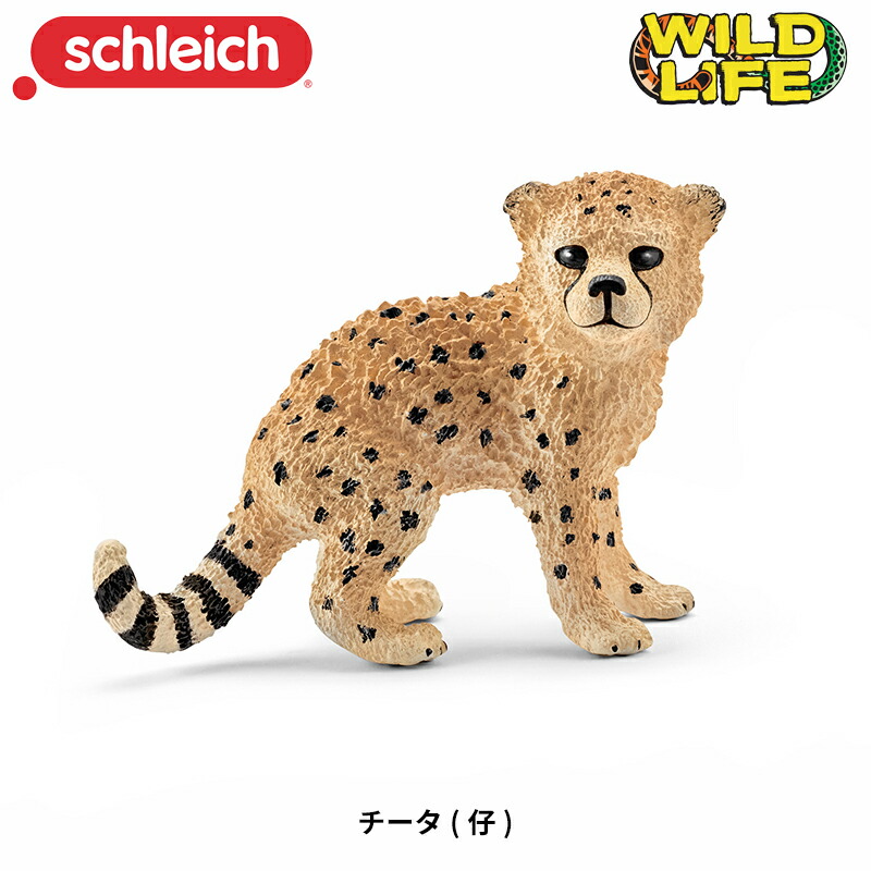 シュライヒ ワイルドライフ ホワイトタイガー (仔) フィギュア 14732 qqffhab 71I+OllWqgL._UF894,1000_QL80_.jpg