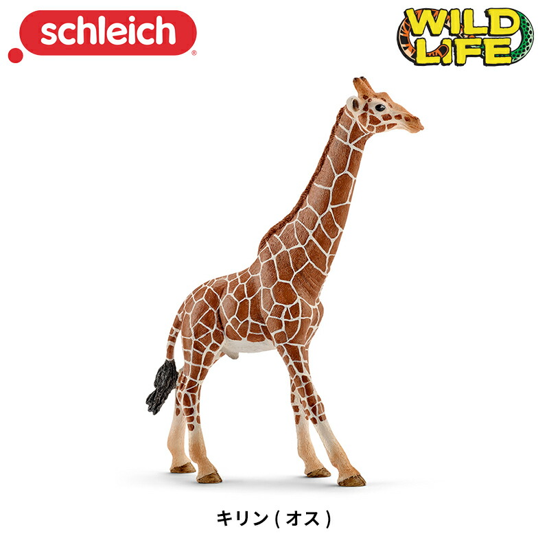 Schleich シュライヒ 動物セット① 楽天市場】トラ 14729 動物フィギュア ワイルドライフ