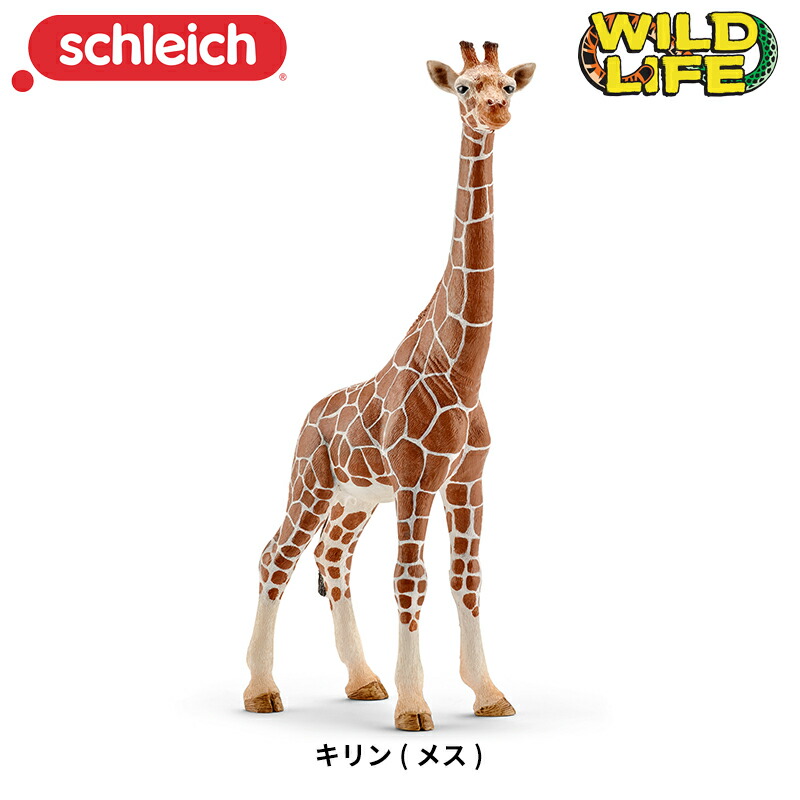楽天市場】トラ 14729 動物フィギュア ワイルドライフ