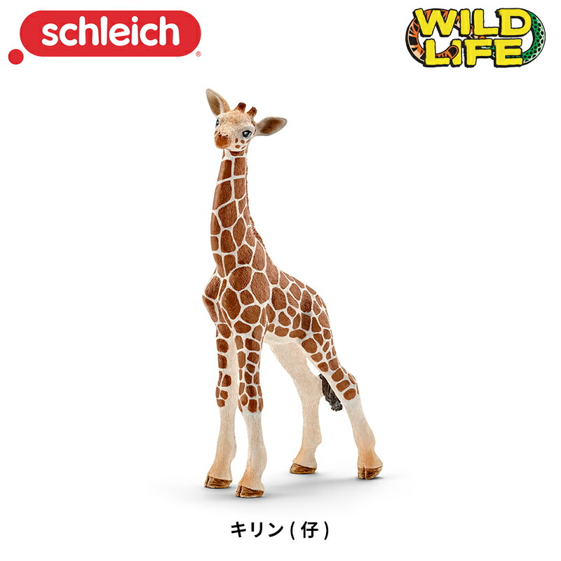シュライヒ ワイルドライフ シロクマ (仔:歩) フィギュア 14708 9jupf8b Amazon.co.jp: シュライヒ ワイルドライフ シロクマ (仔:歩