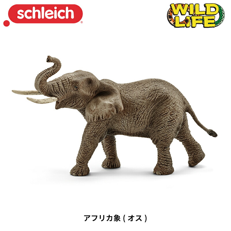 楽天市場】ライオン(吠える) 動物フィギュア 14726 Wild Life ワイルド