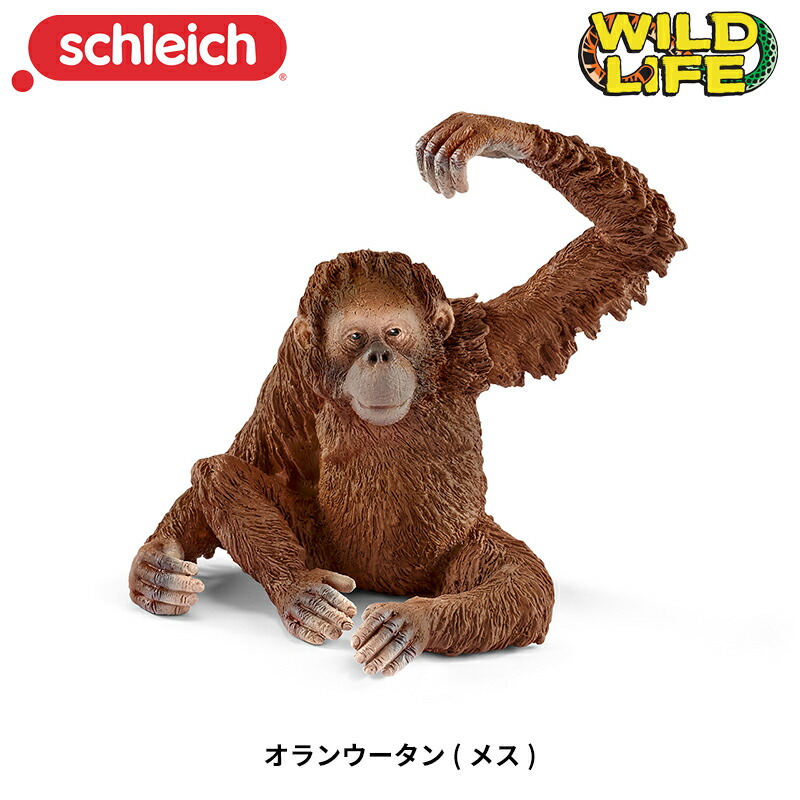楽天市場】キリン(仔) 14751 動物フィギュア ワイルドライフ
