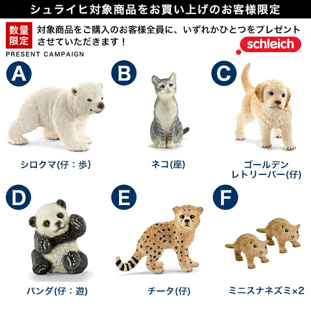 日本製 10 Offクーポン配布中 びっくり特典あり 動物病院とペット 動物フィギュア ファームワールド シュライヒ 人気no 1 本体 Www Faan Gov Ng